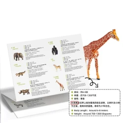 Набор фигурок Mideer Animal Toys, 15 шт. купить в Кишиневе. Фото 4