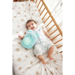 Интерактивная игрушка Hape Huggy Momo купить в Кишиневе. Фото 5