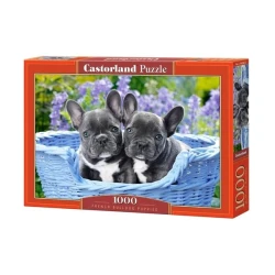 Пазл Castorland French Bulldog Puppies, 1000 элементов купить в Кишиневе. Фото 1