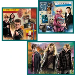 Puzzle Toys Outlet 10 în 1 În lumea lui Harry Potter, 329 piese cumpăra în Chișinau. Foto 2