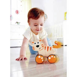 Игрушка-каталка Hape Dante Push and Go купить в Кишиневе. Фото 5