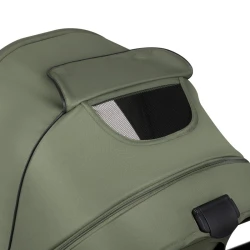 Carucior 2 in 1 Lionelo Amber Plus Green Forest cumpăra în Chișinau. Foto 18