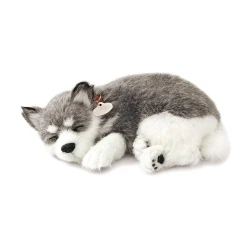 Jucărie de pluș Perfect Petzzz Alaskan Husky Grey&White, 26 cm cumpăra în Chișinau. Foto 1