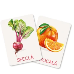 Set de carduri educative Dodo Legume și fructe cumpăra în Chișinau. Foto 4