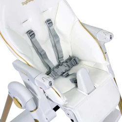Scaun pentru hranire 2 în 1 Peg Perego Prima Pappa Follow Me Gold cumpăra în Chișinau. Foto 11