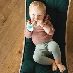 Jucarie zornaitoare BabyOno Trumpet cumpăra în Chișinau. Foto 5