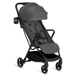 Прогулочная коляска Lionelo Agia Grey Stone купить в Кишиневе