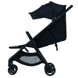 Коляска 2/1 Anex IQ Basic Onyx купить в Кишиневе. Фото 14