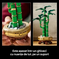 Set construcție Lego Botanicals Lucky Bamboo, 325 elemente cumpăra în Chișinau. Foto 7