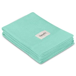Plapumă Lionelo Bamboo Blanket Green Mint, 75x100 cm cumpăra în Chișinau. Foto 3
