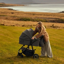 Carucior 2 in 1 Lionelo Amber Plus Green Forest cumpăra în Chișinau. Foto 5