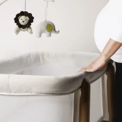 Patuc Co-sleeper BabyGo Sleepgood Mesh White cumpăra în Chișinau. Foto 7