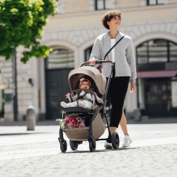 Cărucior de plimbare reversibil Britax-Römer Rio Soft Taupe cumpăra în Chișinau. Foto 7