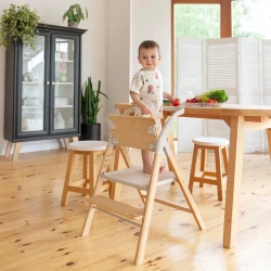 Стульчик для кормления 4 в 1 Carrello Ergo Carbon Grey купить в Кишиневе. Фото 8