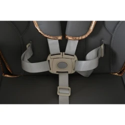 Стул для кормления Moni Lindo Grey купить в Кишиневе. Фото 10