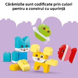 Set construcție Lego Duplo 3 in 1 My First Creative Cute Pets, 24 elemente cumpăra în Chișinau. Foto 7