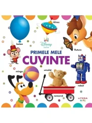 Carte Primele mele cuvinte - Disney bebe cumpăra în Chișinau. Foto 1
