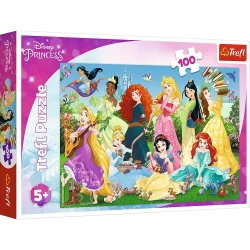 Пазл Trefl Disney Princess Charming Princesses, 100 элементов купить в Кишиневе. Фото 1