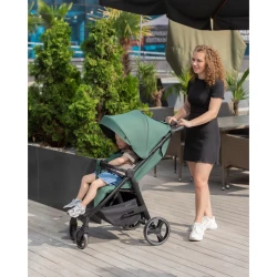 Прогулочная коляска Carrello Bravo Timber Grey купить в Кишиневе. Фото 6