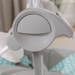 Leagan Bright Starts Ingenuity Swingity Swing Goji cumpăra în Chișinau. Foto 11