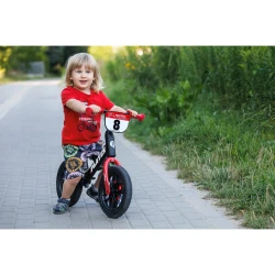 Bicicletă fără pedale QPlay Player Blue cumpăra în Chișinau. Foto 10