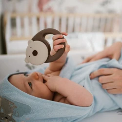 Погремушка Babyono Bear купить в Кишиневе. Фото 5