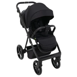 Carucior 2 in 1 Adamex Blanc Lux Black cumpăra în Chișinau. Foto 7