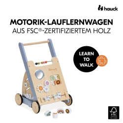 Ходунок Hauck Learn to Walk Skills купить в Кишиневе. Фото 2