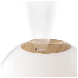 Увлажнитель воздуха Jane Moon купить в Кишиневе. Фото 2