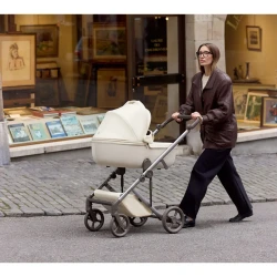 Carucior 2 in 1 Anex Eli Milky cumpăra în Chișinau. Foto 16