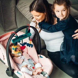 Игрушка на коляску BabyOno Garden Boy купить в Кишиневе. Фото 7