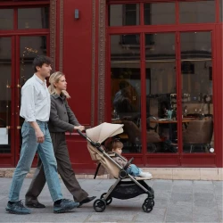 Carucior 2/1 Anex IQ Premium Seal cumpăra în Chișinau. Foto 21