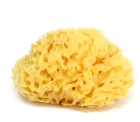 Детская губка для купание Ok Baby Natural Sea Sponge Nr10 купить в Кишиневе. Фото 1