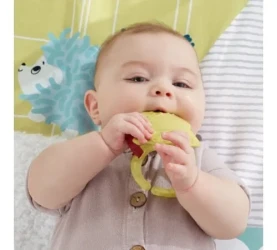 Covoraș pentru copii Fisher-Price Primele impresii ale copilului 10x67x51 cm cumpăra în Chișinau. Foto 3
