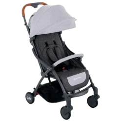 Коляска прогулочная Go-Go Grey купить в Кишиневе. Фото 1