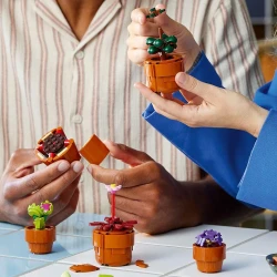 Конструкторы Lego Botanicals Tiny Plants, 758 элементов купить в Кишиневе. Фото 8
