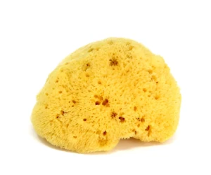 Burete de baie pentru copii Ok Baby Natural Sea Sponge Nr12 cumpăra în Chișinau. Foto 2