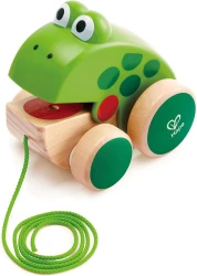Игрушка-каталка Hape Frog купить в Кишиневе. Фото 1