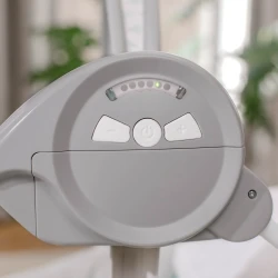 Leagan Bright Starts Ingenuity Swingity Swing Goji cumpăra în Chișinau. Foto 6