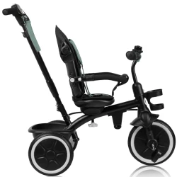 Tricicleta pentru copii 2 in 1 Lionelo Berry Green Forest cumpăra în Chișinau. Foto 7