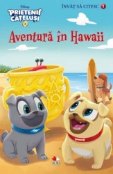 Carte Prietenii Cățeluși. Aventura în Hawaii. Nivelul 1 - Învăț să citesc cumpăra în Chișinau. Foto 1