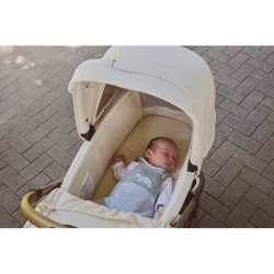 Landou Chicco Flexi Lunar Rock cumpăra în Chișinau. Foto 17