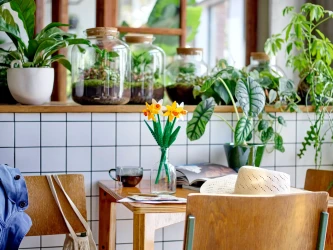 Конструкторы LEGO Daffodils, 216 элементов купить в Кишиневе. Фото 4