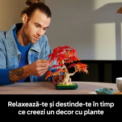 Конструкторы Lego Botanicals Japanese Red Maple Bonsai Tree, 474 элемента купить в Кишиневе. Фото 7