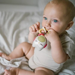 Погремушка BabyOno Owl со звуком купить в Кишиневе. Фото 6