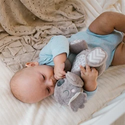 Jucărie zornaitoare pentru îmbrățișat BabyOno Koala Coco Beige cumpăra în Chișinau. Foto 10