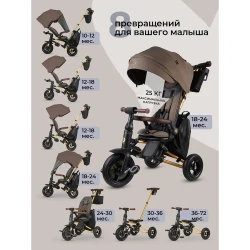 Tricicleta pentru copii QPlay Nova Deluxe Brown cumpăra în Chișinau. Foto 6