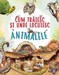 Carte Cum trăiesc și unde locuiesc animalele cumpăra în Chișinau. Foto 1