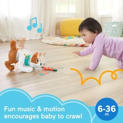 Интерактивная игрушка Fisher Price Puppy купить в Кишиневе. Фото 2