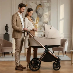 Коляска 2 в 1 Adamex Bianco Champagne Beige купить в Кишиневе. Фото 9